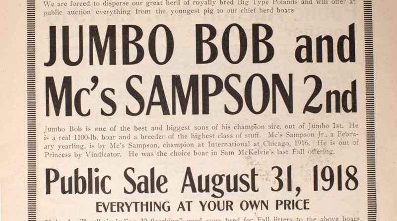 1918-Swine-Auction-Flyer